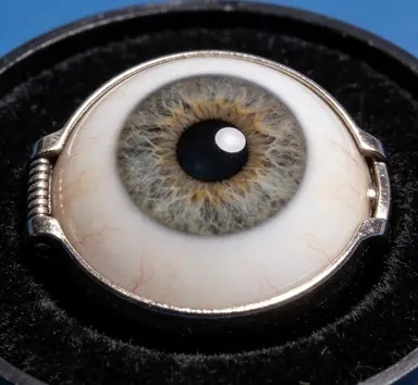 专业义眼定制师工作中