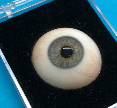 关于我们 - 专业义眼定制